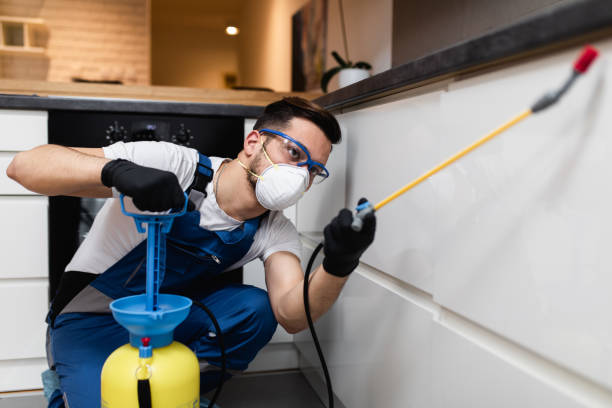 Best Flea Control Services  in Union City, OK