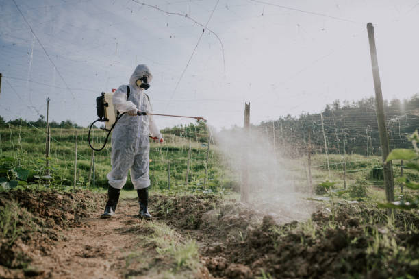 Best Mosquito Control Services  in Union City, OK