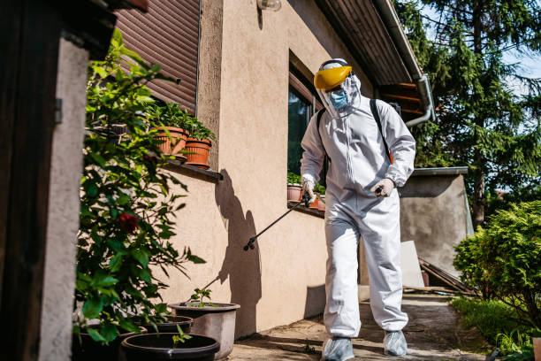Best Rat Extermination Near Me  in Union City, OK