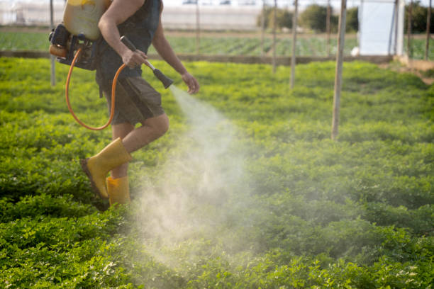 Best Wasp Removal Services  in Union City, OK