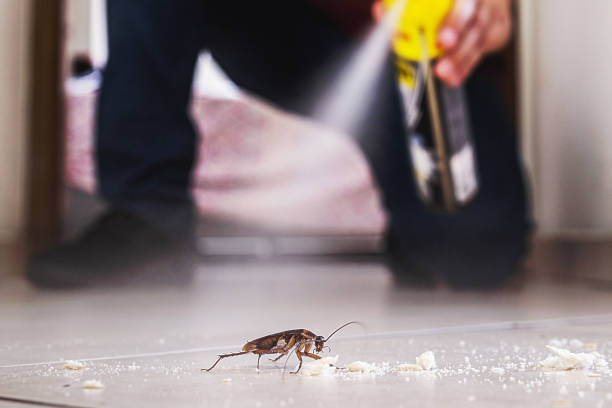 Best Best Pest Control Companies  in Union City, OK